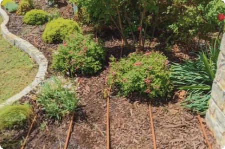 Casas Irrigation Drainage & More completed project