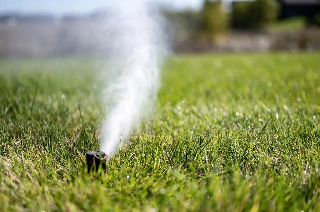 What Is the Difference Between Sprinkler Winterization and a Blowout?