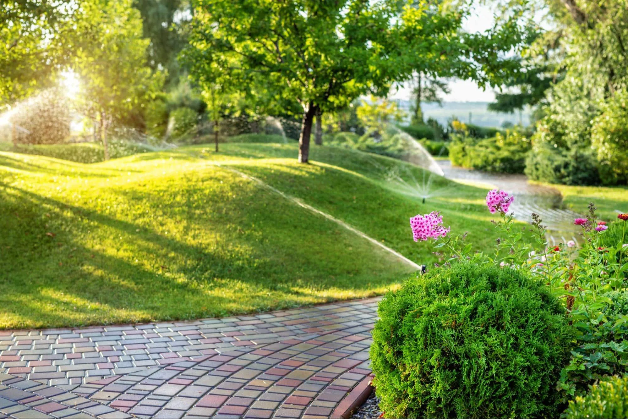 Sprinkler Repair, Drainage & Landscape Lighting in Little Elm, TX