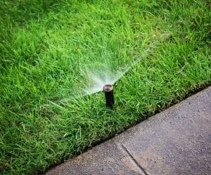 Best Sprinkler System Experts in Park Cities/Highland Park, Irrigation, Lighting & Drainage Services