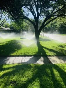 sprinkler installation