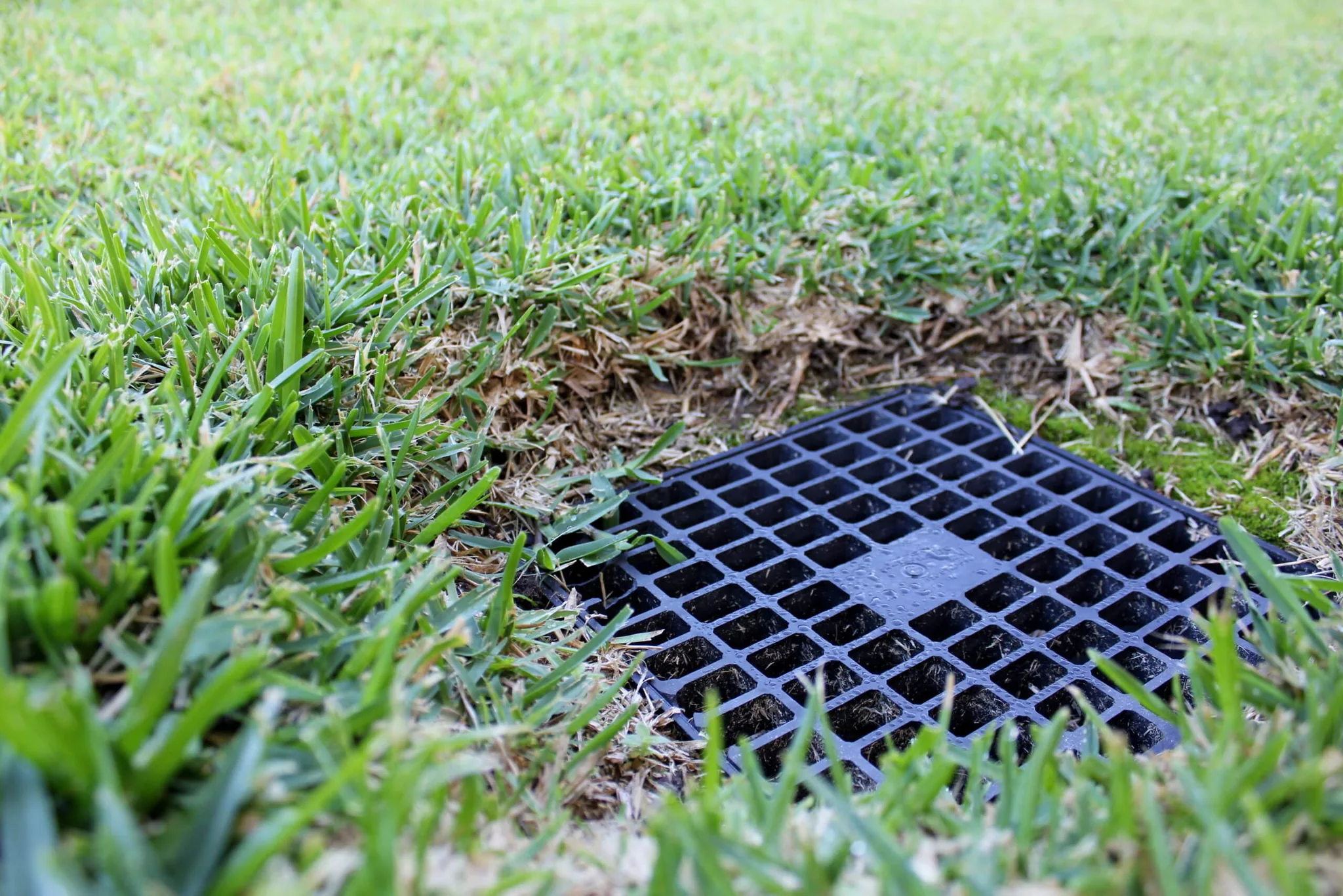 Environmental Benefits of Effective Drainage Systems in North Texas