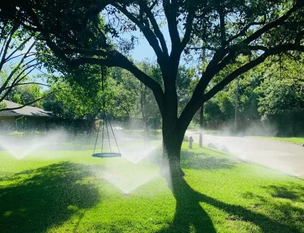 The Benefits of Installing a Sprinkler System for Your Home and Lawn