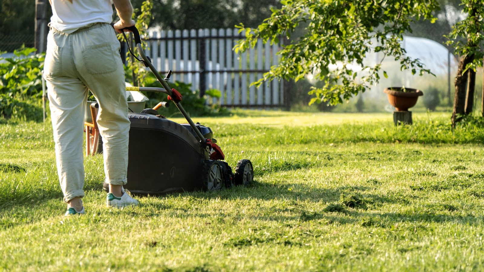 Benefits of Getting Landscaping Done in the Off Season in Frisco, TX