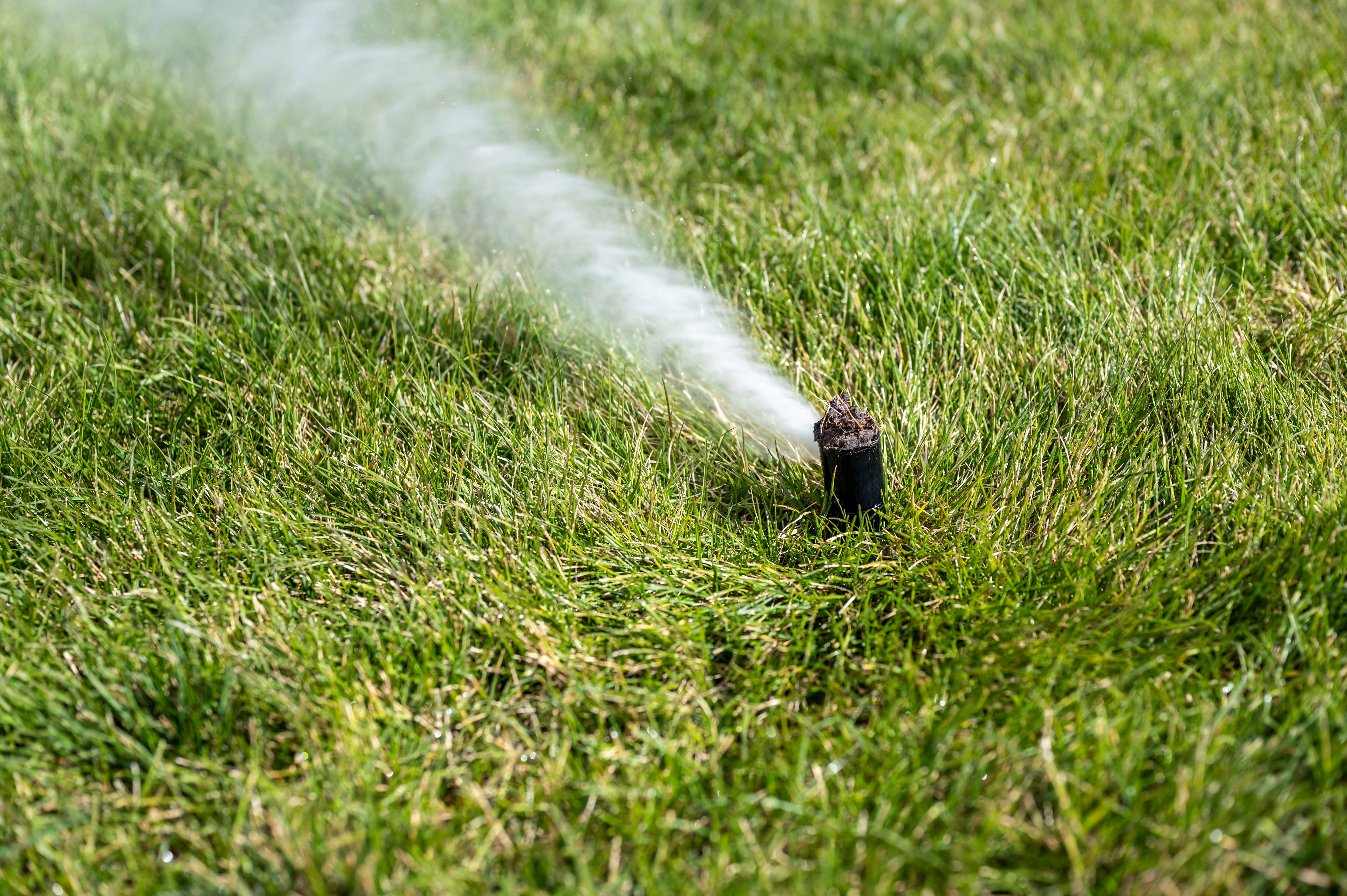 Sprinkler Winterization vs Blowout in North Texas: What Frisco Homeowners Need Before the First Freeze 