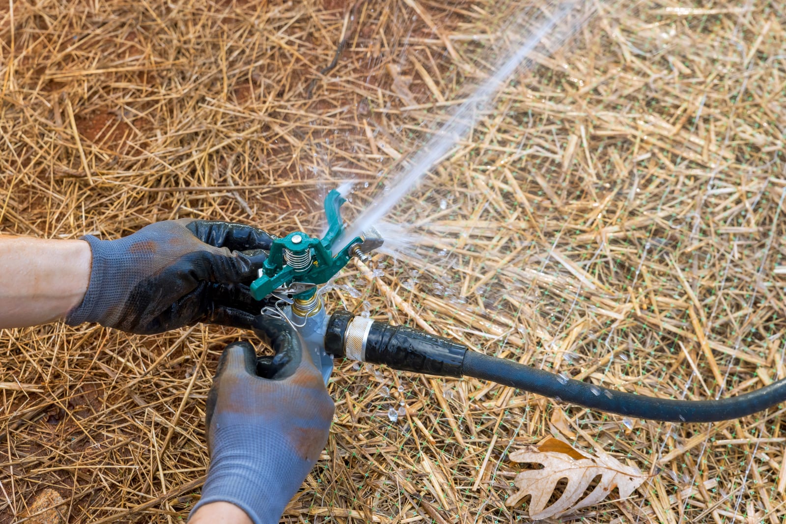 Sprinkler repair service in Plano TX fixing a residential irrigation system