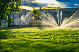 sprinkler system