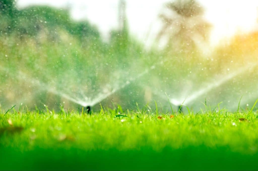 Irrigation Sprinkler, Drainage, and Landscape Lighting Services in Celina, TX