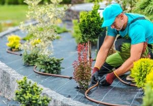 Irrigation Sprinkler, Drainage, and Landscape Lighting Services in Frisco, TX