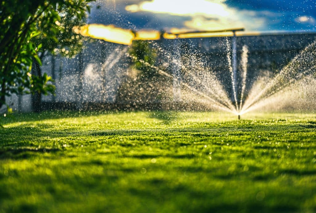 Irrigation Sprinkler, Drainage, and Landscape Lighting Services in Prosper, TX