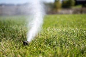 Difference Between Sprinkler Winterization and Blowout