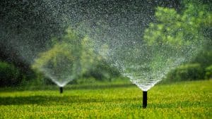 Best Sprinkler System Experts in Hackberry