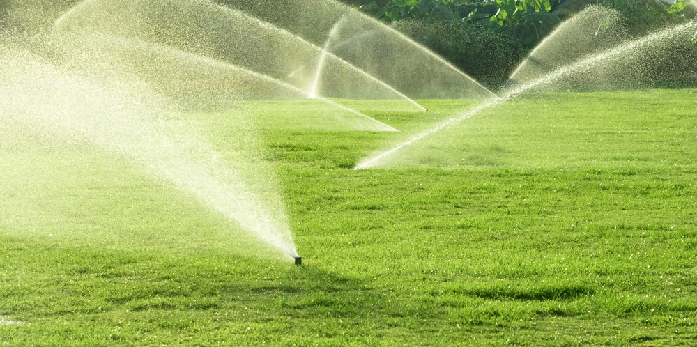 Best Sprinkler System Experts in Oak Point