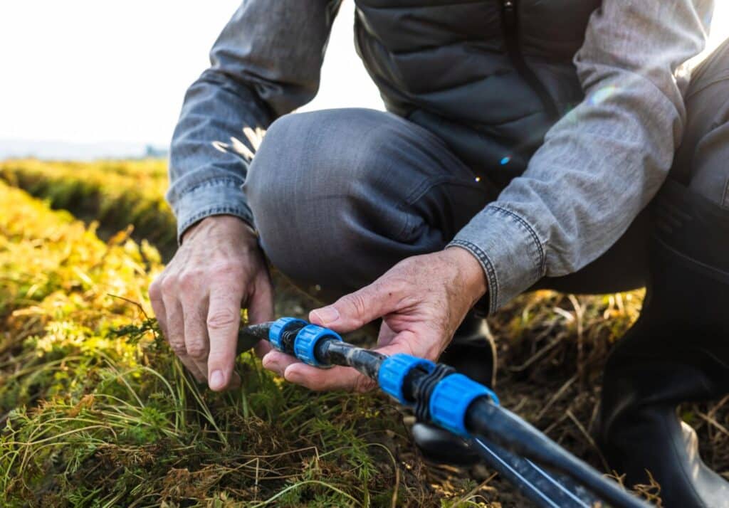 Signs Your Irrigation System Needs Help – Seasonal Checklist