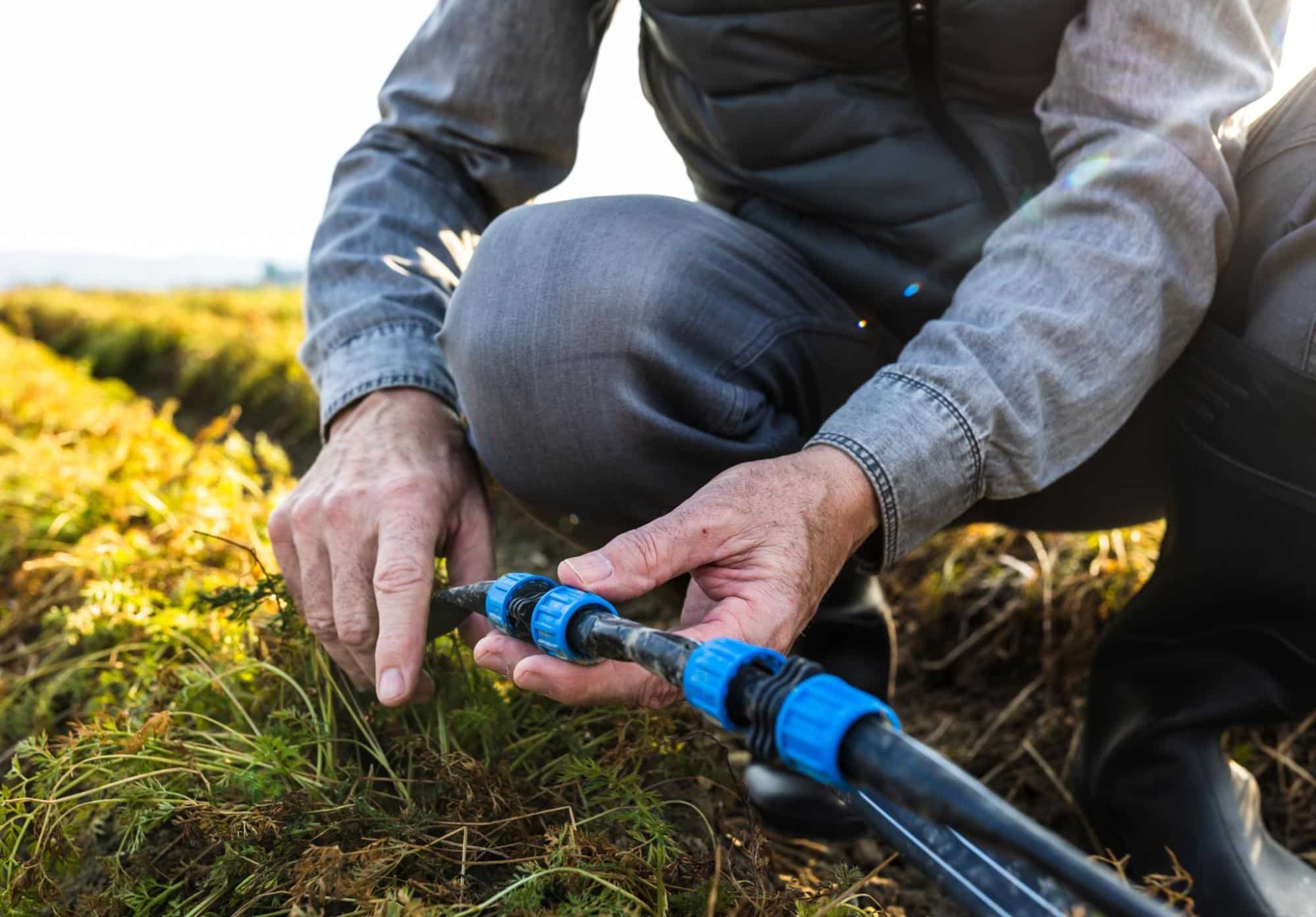 Signs Your Irrigation System Needs Help – Seasonal Checklist