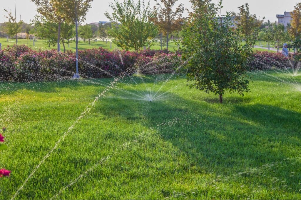 Professional sprinkler, drainage, and irrigation services