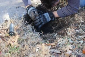 Local sprinkler repair company servicing a Frisco TX home